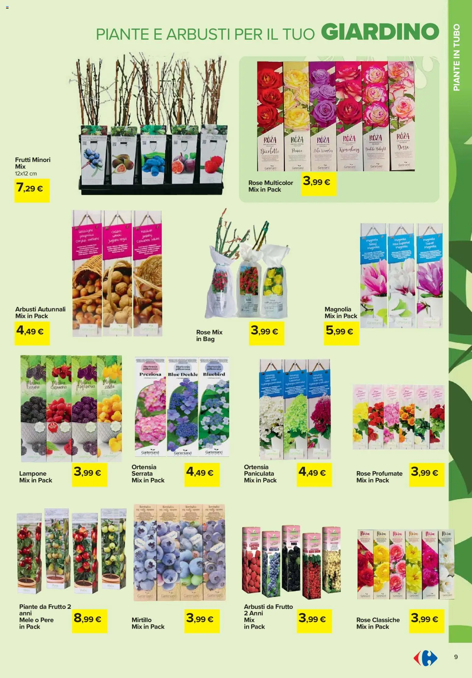 Volantino Carrefour del 19.02.2026 | Pagina: 9 | Prodotti: Mele, Tubo, Lampone