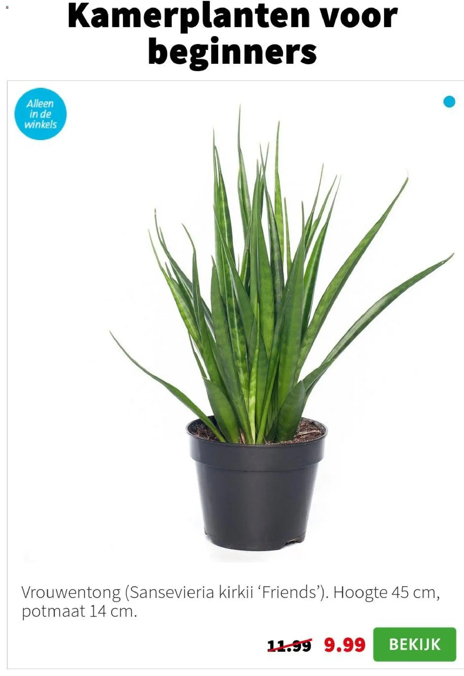 {H1} | Pagina: 2 | Producten: Kamerplanten