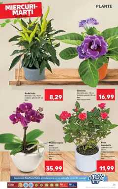 Catalog Kaufland - Bucureşti – valabil de la 16.07.2025 | Pagină: 25