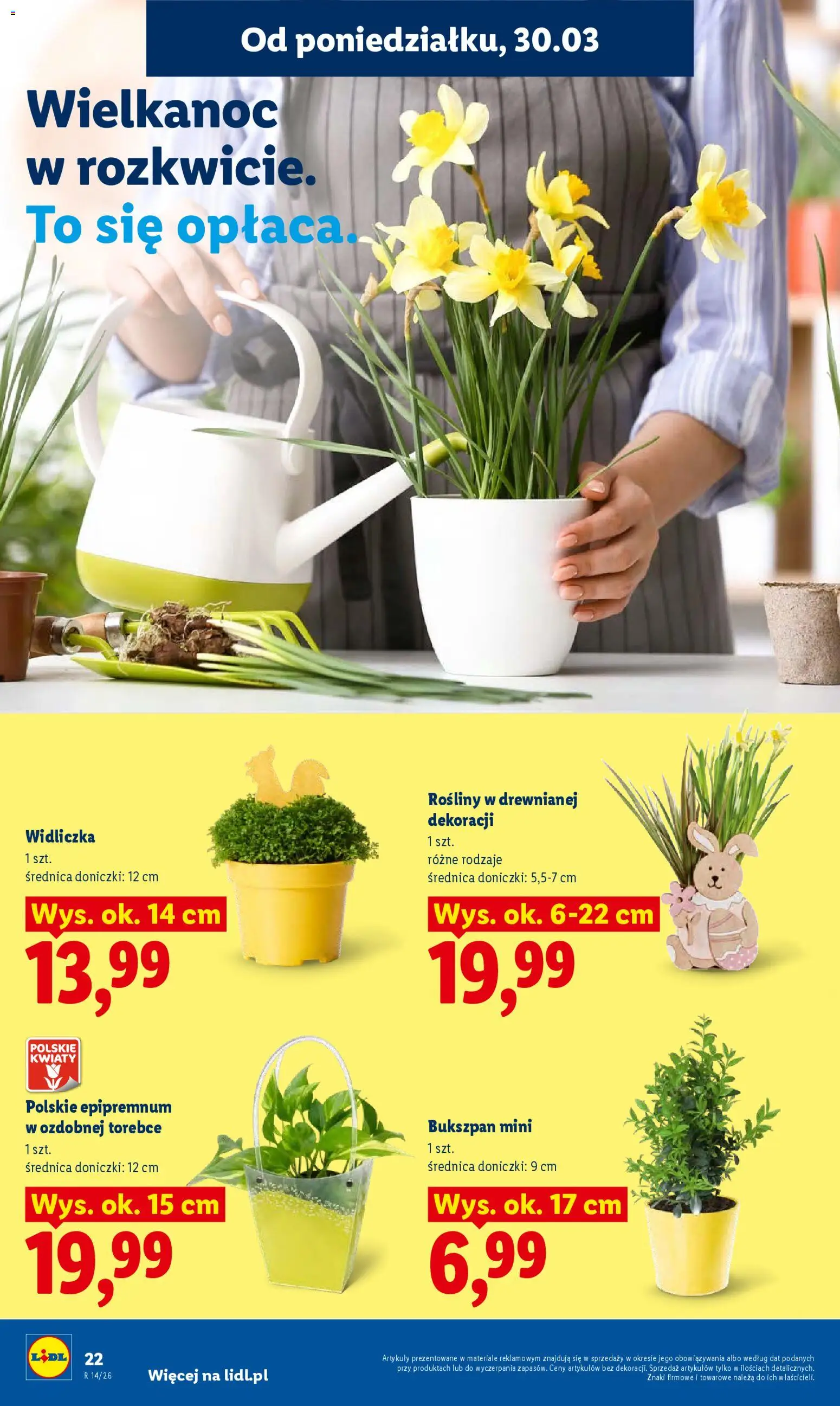 Lidl Polsko leták od 30.03.2026 | Strana: 22