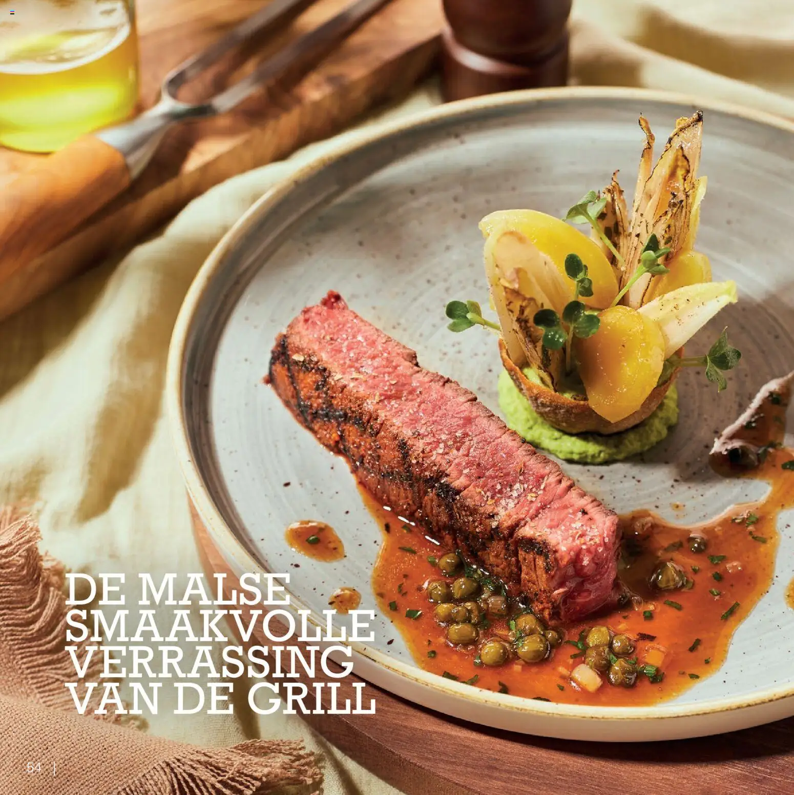 {H1} | Pagina: 54 | Producten: Grill