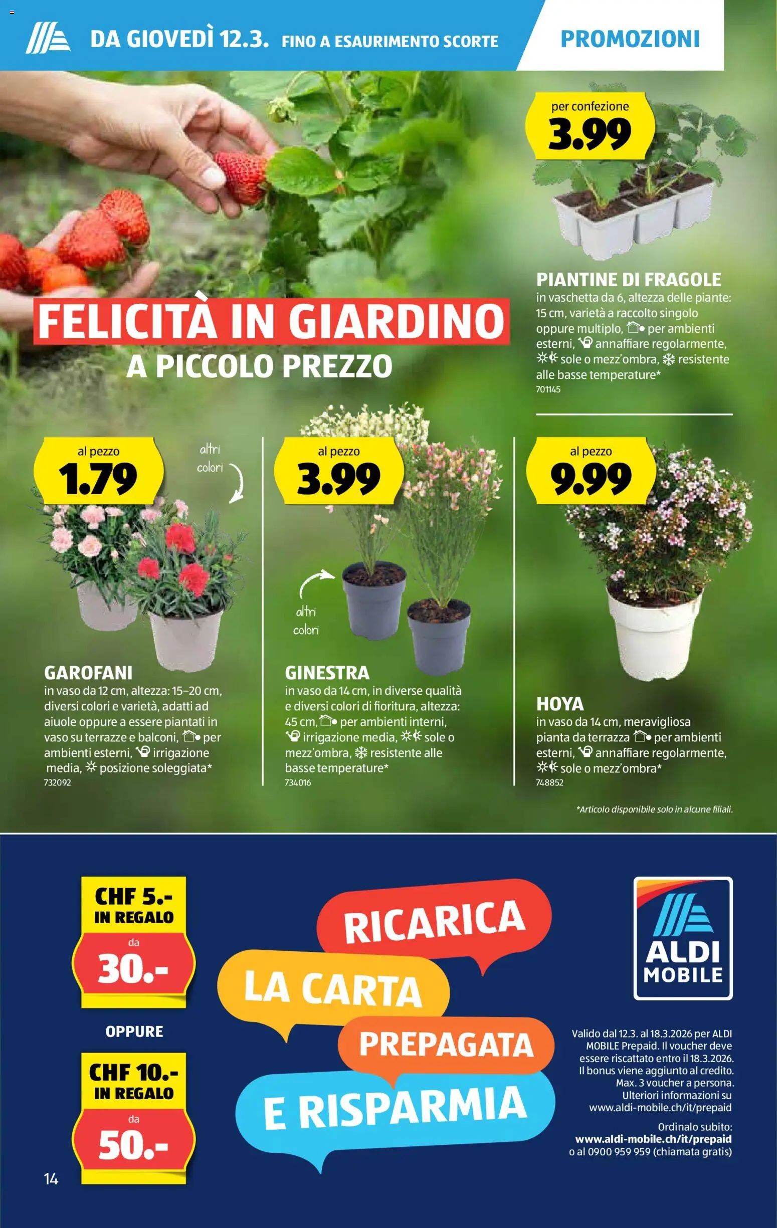 Aldi aktionen IT – gültig ab 12.03.2026 | Seite: 15