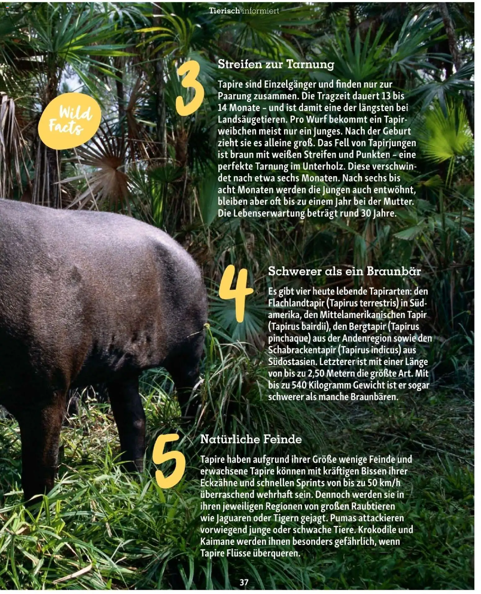 Fressnapf Friends 01/26 gültig ab 01.01.2026 | Seite: 37 | Produkte: Gewicht