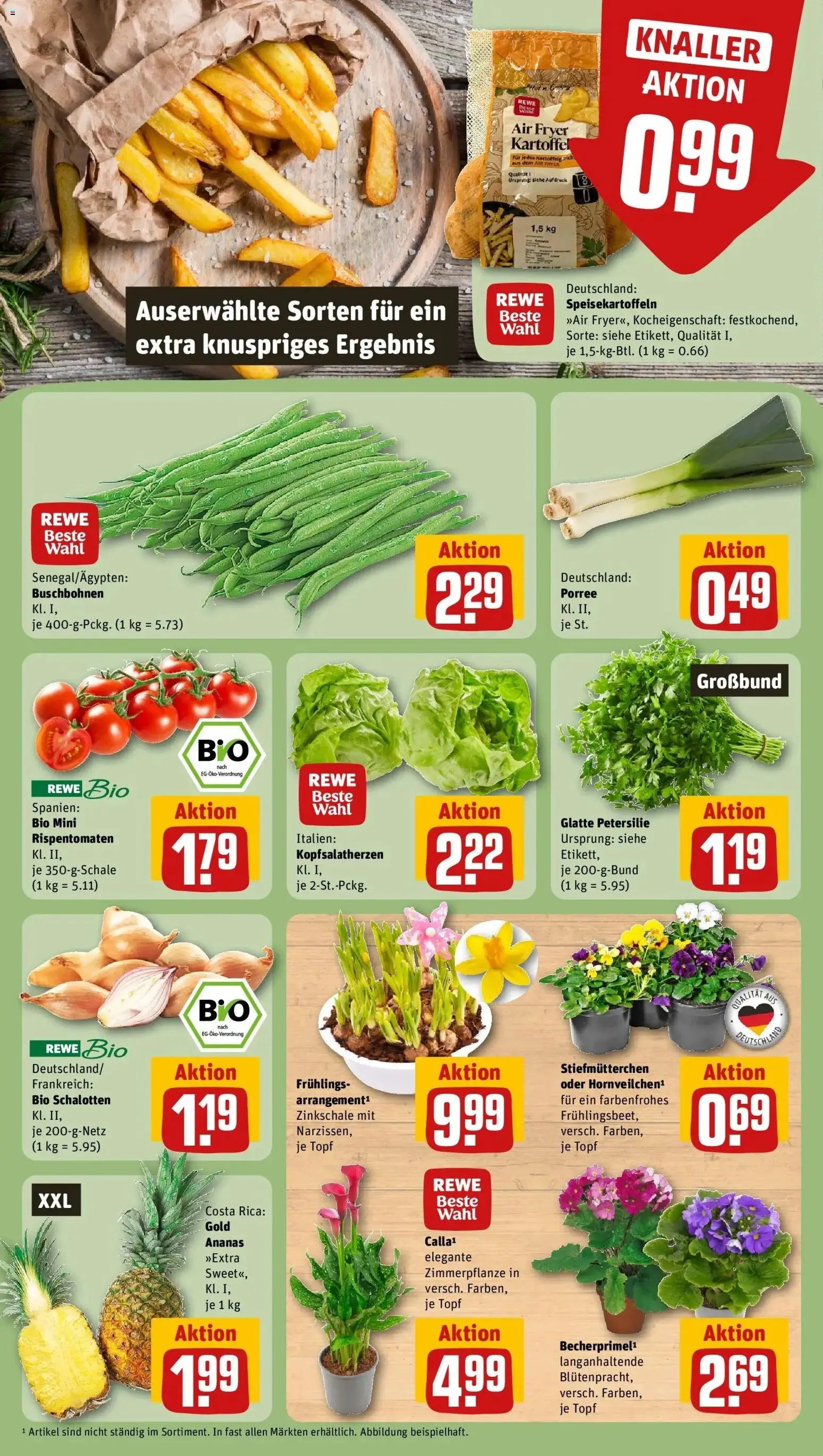 Rewe prospekt Gundelfingen	 – gültig ab 22.02.2026 | Seite: 7 | Produkte: Stiefmutterchen, Ananas, Petersilie