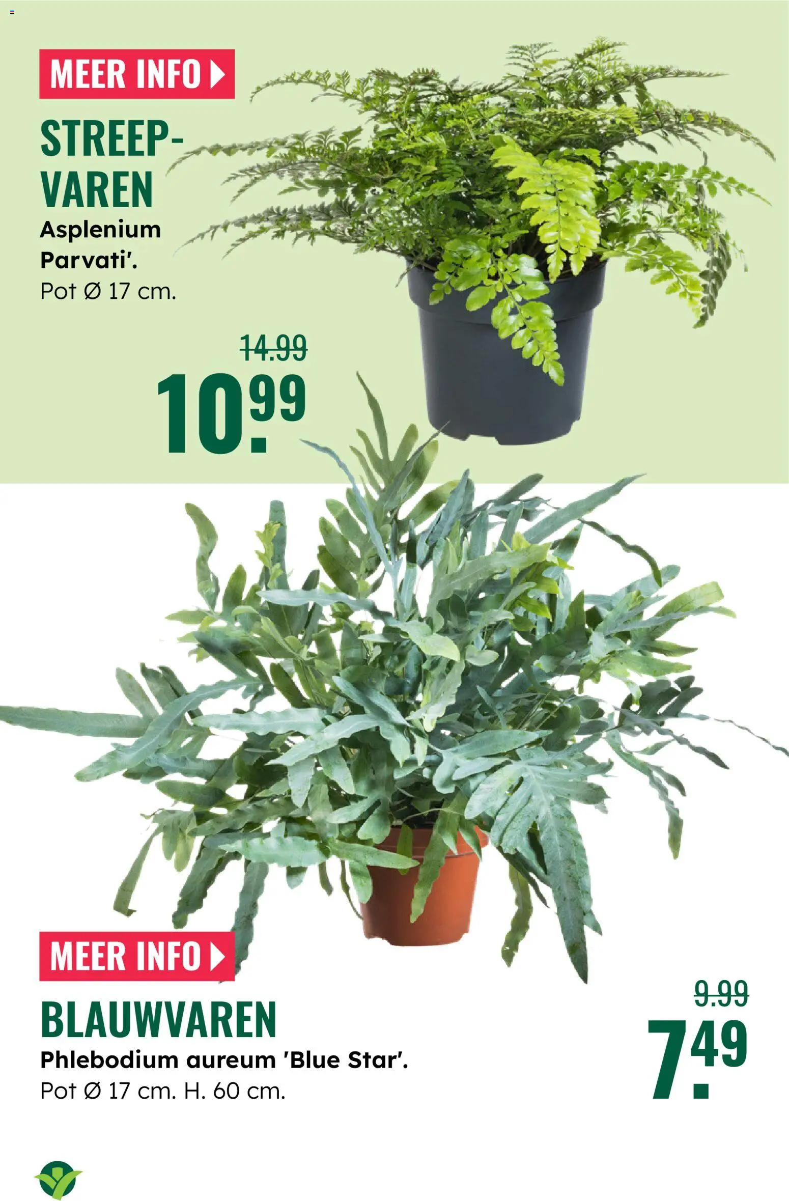 {H1} | Pagina: 19 | Producten: Pot