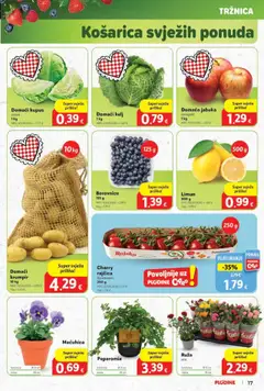 Katalog Plodine - Pregled kataloga iz trgovine Plodine, vrijedi od 01.10.2025 | Stranica: 17 | Proizvodi: Krumpir, Limun, Kupus, Borovnice