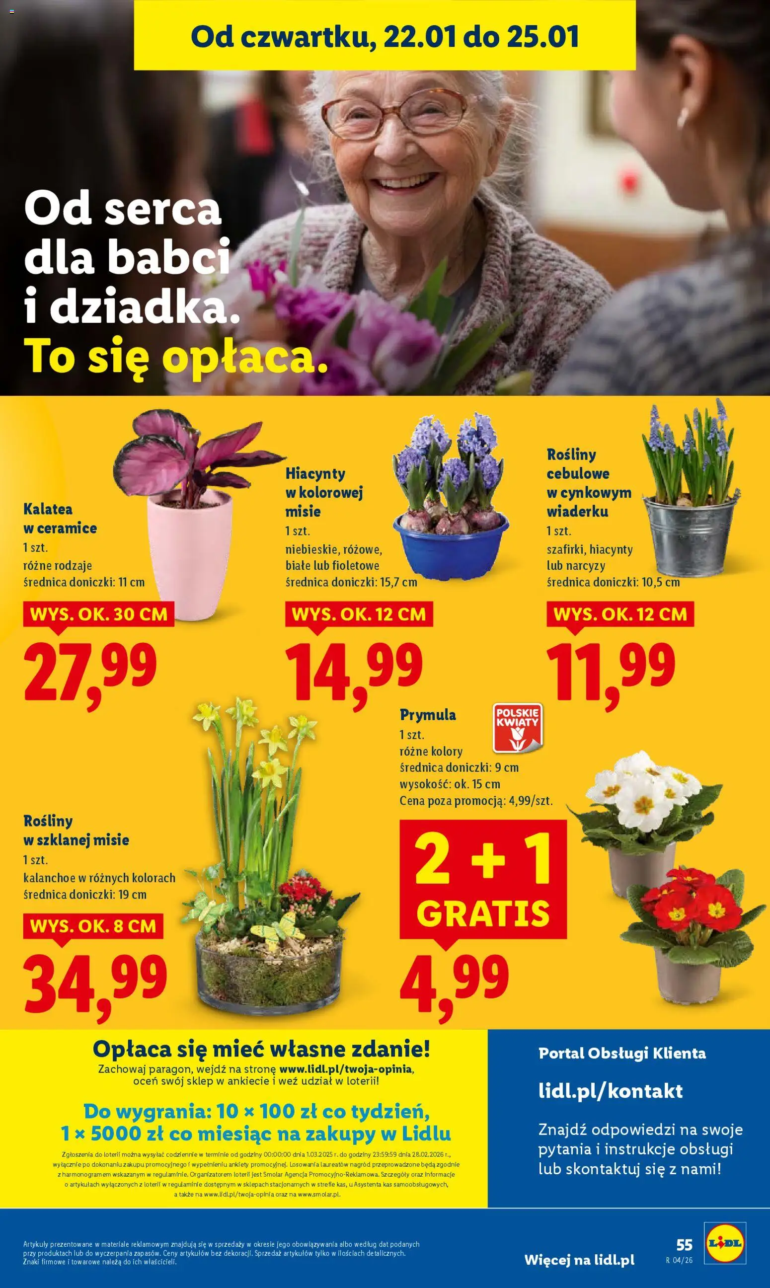 Lidl Gazetka od 22.01.2026 | Strona: 55 | Produkty: Kalatea, Rosliny, Doniczki, Kalanchoe
