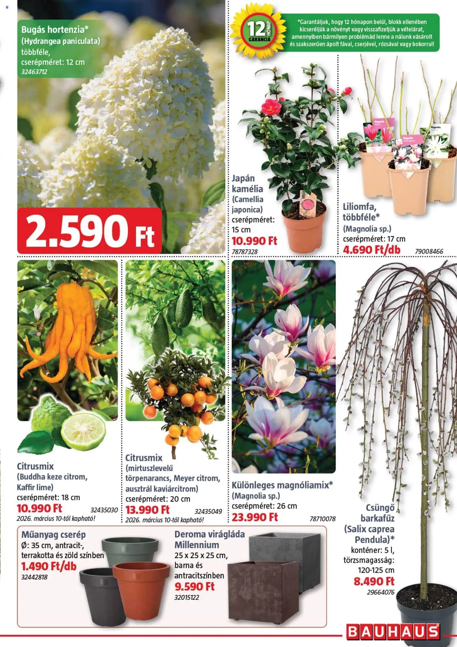 Bauhaus akciós ujság - amely érvényes a következő dátumtól: 05.03.2026 | Oldal: 3 | Termékek: Lime, Kamelia, Virágláda