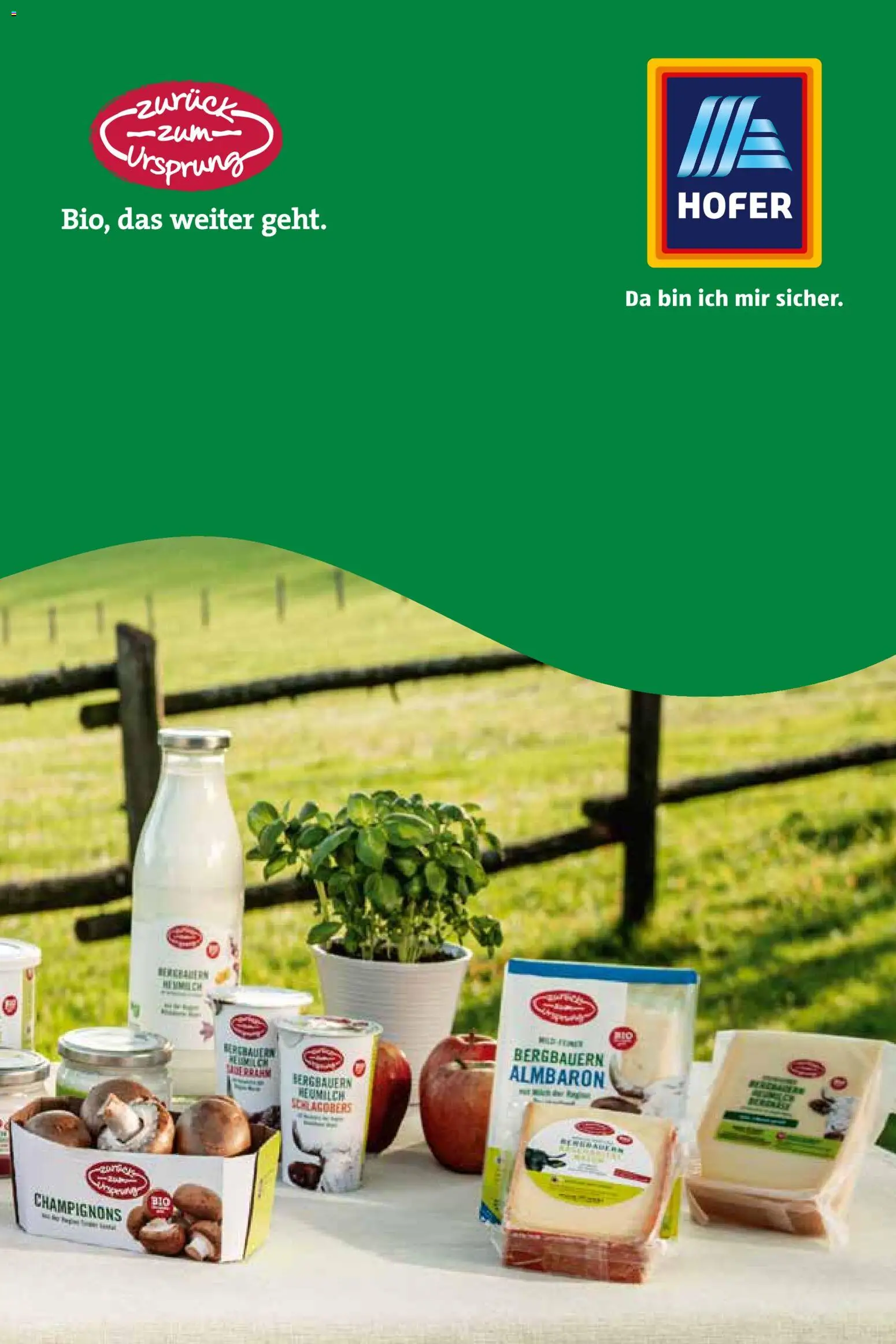 Hofer Alles über die nachhaltige Bio-Eigenmarke  gültig ab 20.02.2026 | Seite: 17