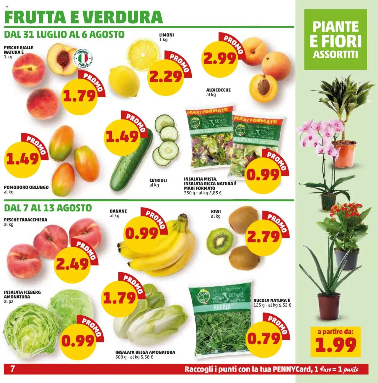 Volantino PENNY del 31.07.2025 | Pagina: 7 | Prodotti: Cetrioli, Insalata, Frutta, Pomodoro