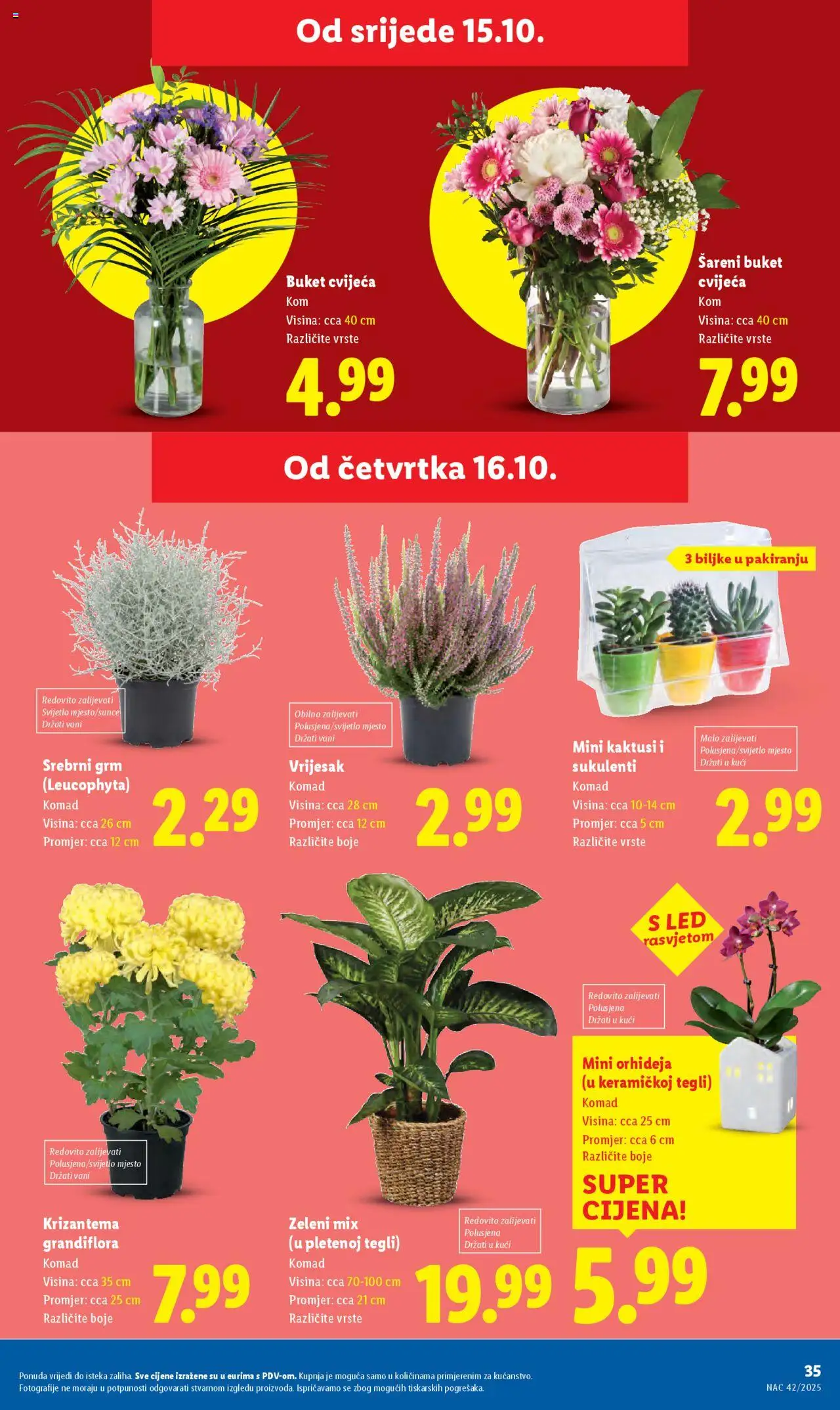 Lidl katalog | vrijedi od 16.10.2025 | Stranica: 35 | Proizvodi: Orhideja