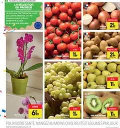  | Page: 2 | Produits: Tomate grappe, Pomme de terre, Orchidée, Oignon