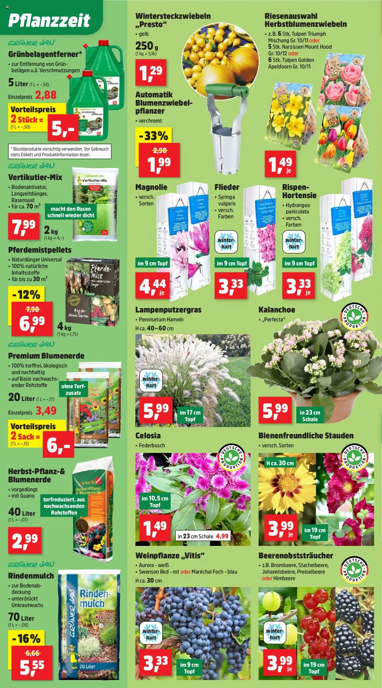 Thomas Philipps Prospekt - gültig ab dem 18.08.2025 | Seite: 2 | Produkte: Rindenmulch, Hortensie, Blumenerde, Himbeere