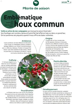 Mr. Bricolage - Prévisualisation de Mr. Bricolage catalogue valide à partir de 01.12.2025 | Page: 81