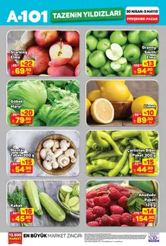 30.04.2026 tarihinden itibaren geçerli olan A101 kataloğu önizlemesi