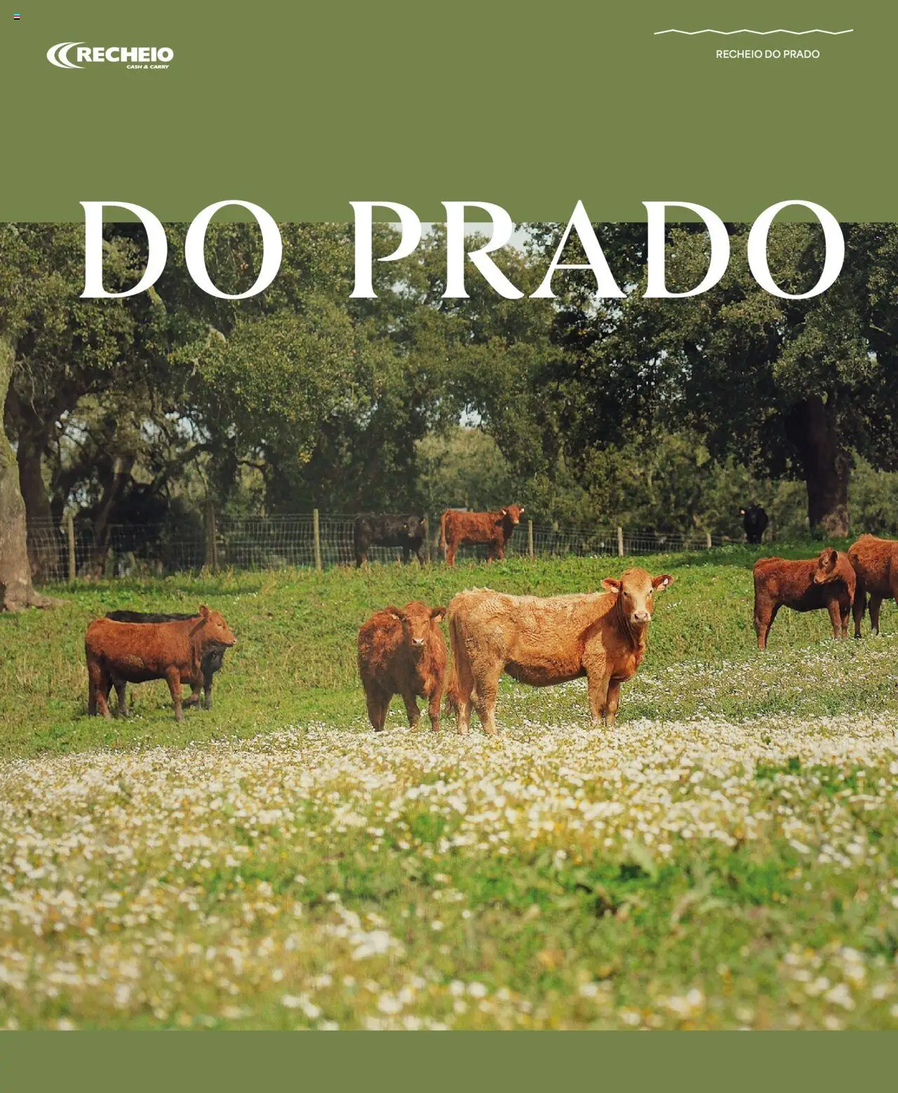 Recheio folheto │ válido de 24.04.2025 | Página: 6