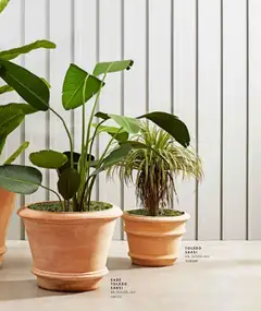 01.01.2026 tarihinden itibaren geçerli olan Mudo kataloğu önizlemesi | Sayfa: 15