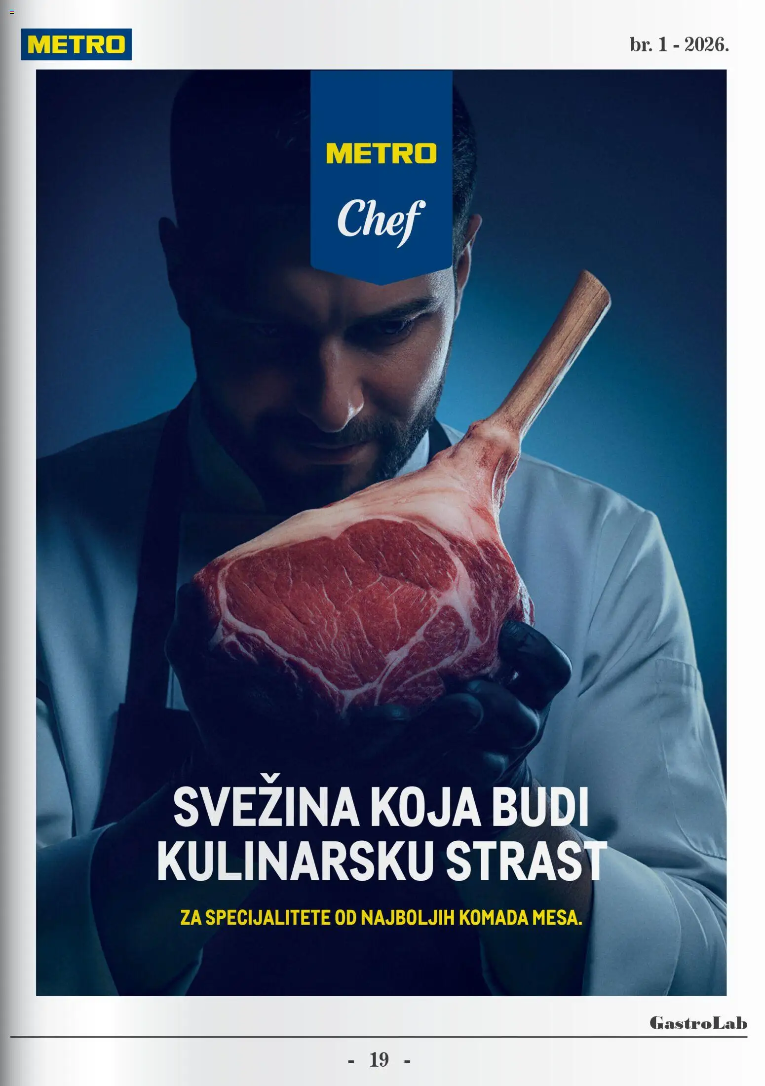 Metro katalog - važi od 13.01.2026 | Strana: 19