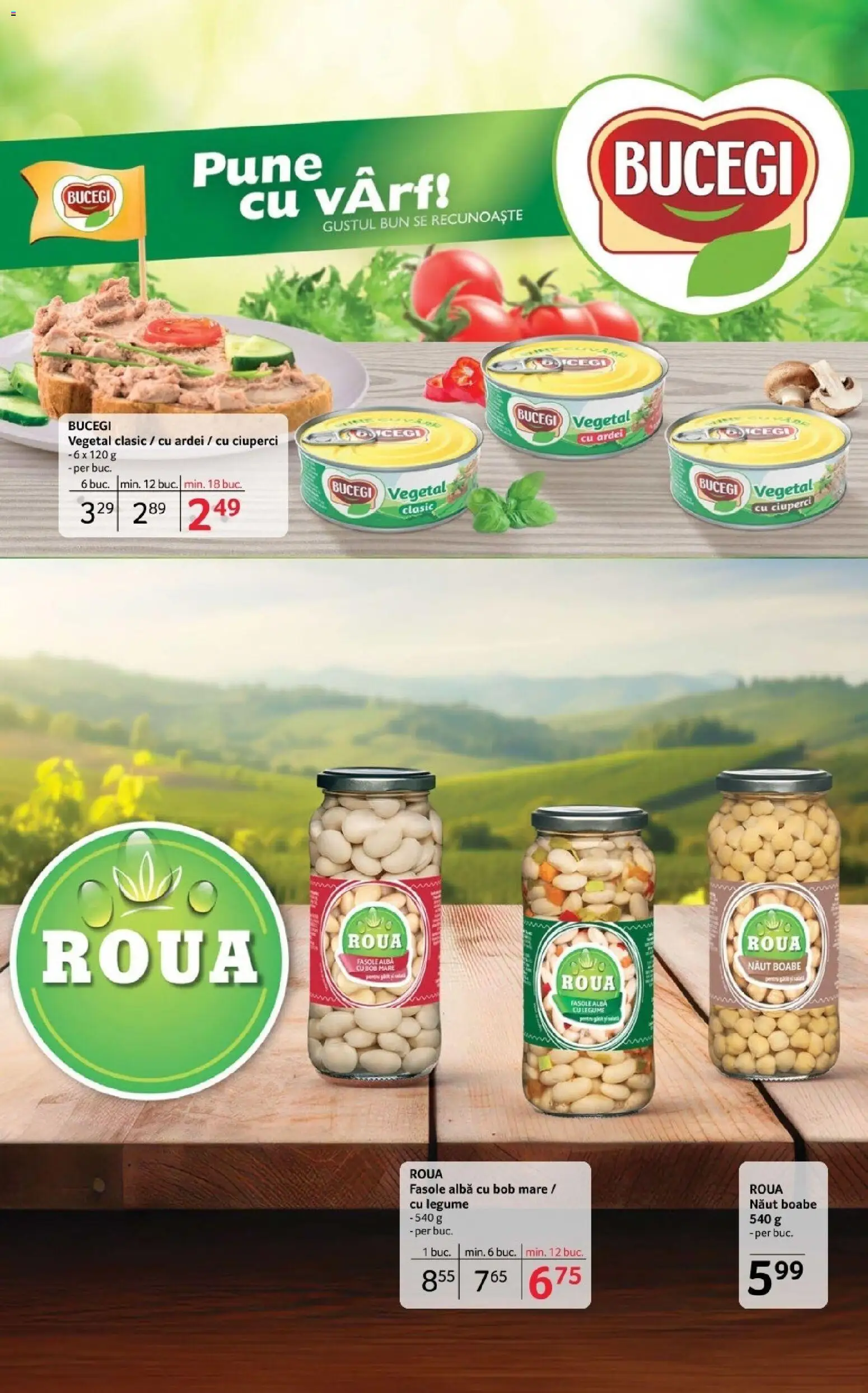 Noul catalog Selgros – valabil de la 14.11.2025 | Pagină: 21 | Produse: Ciuperci, Ardei, Fasole albă, Legume