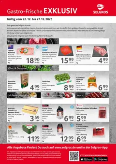 Selgros - Gastro Angebote ab 22.12.2025 gültig