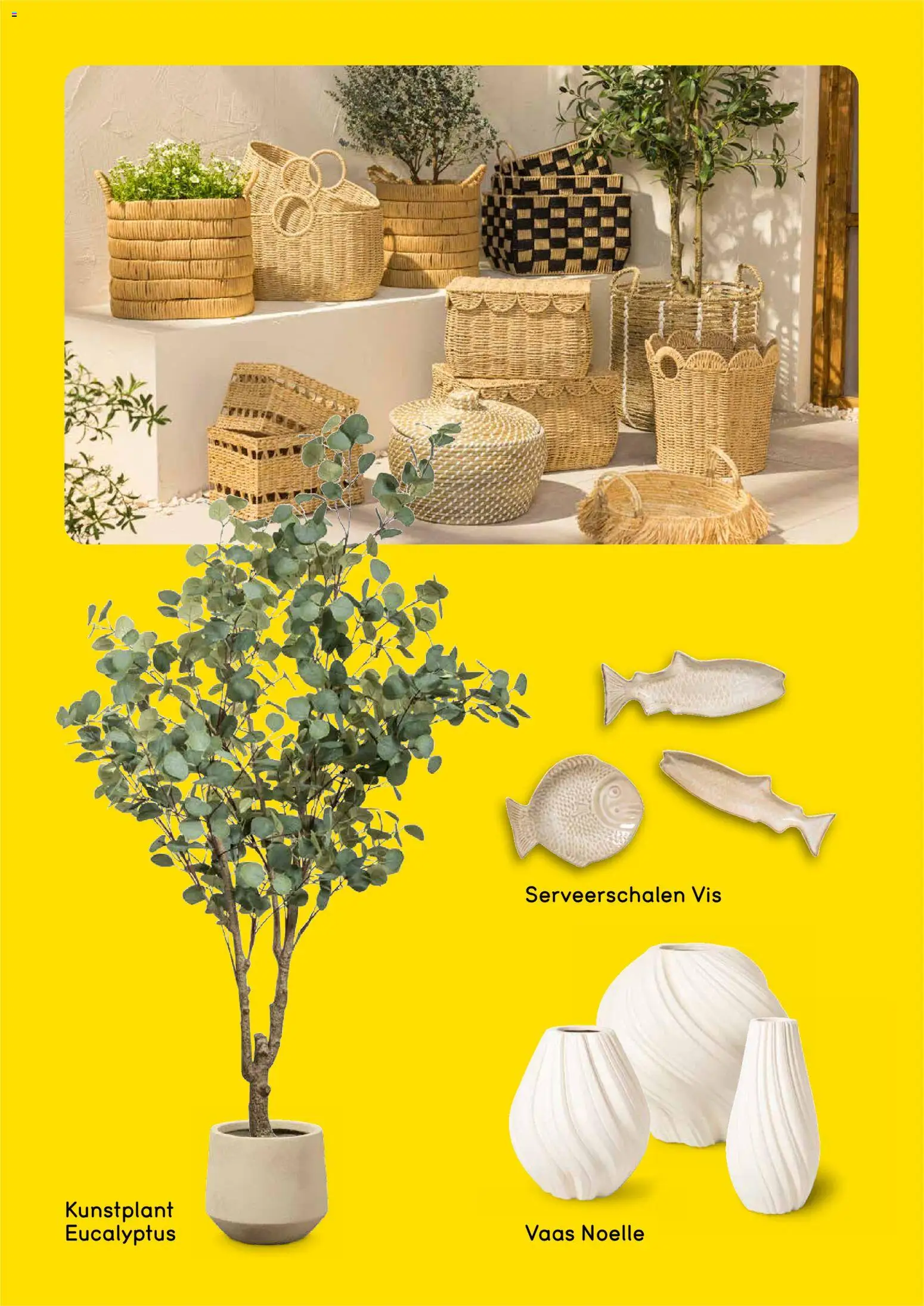 {H1} | Pagina: 17 | Producten: Vis, Vaas