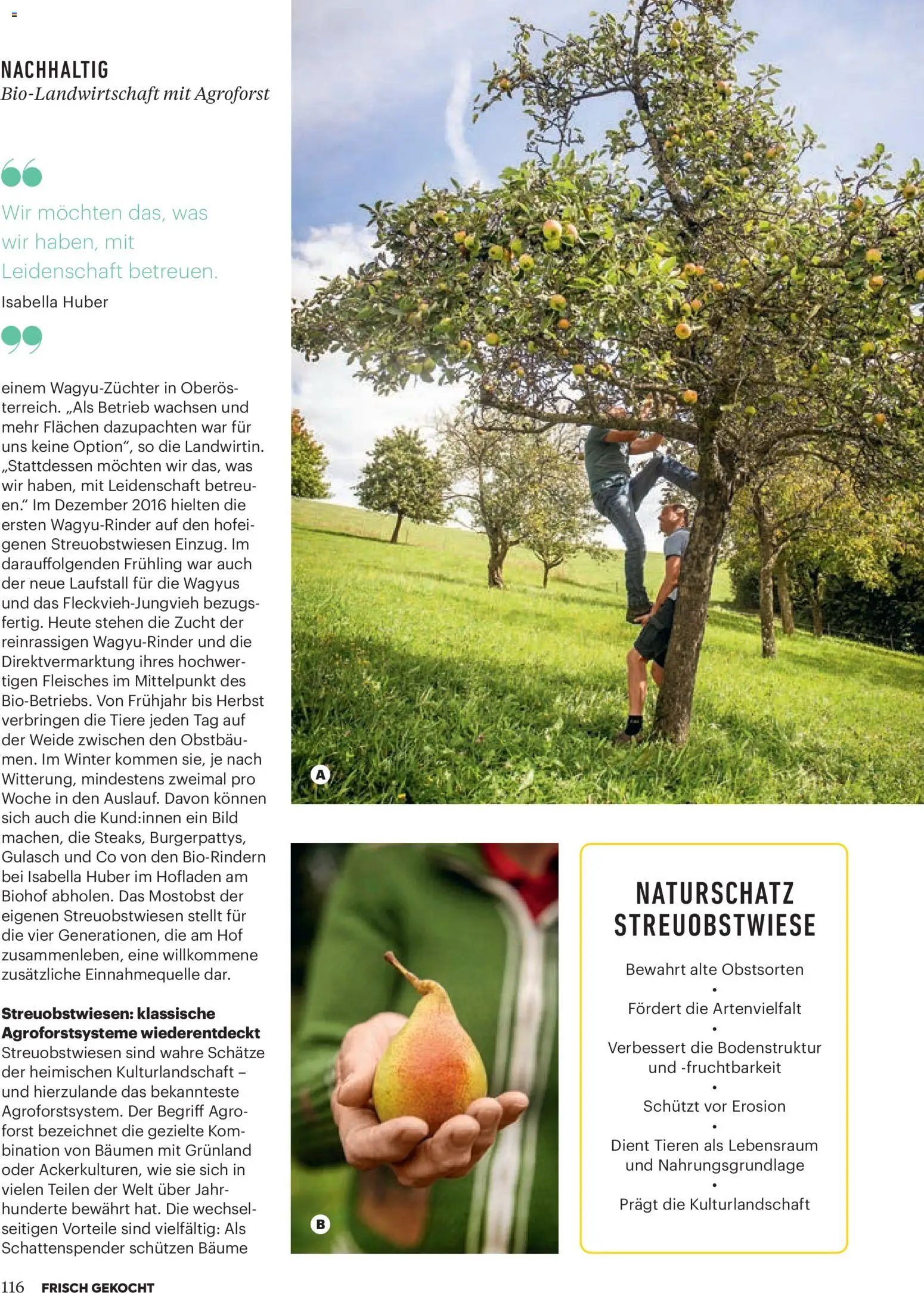 Billa  Frisch Gekocht gültig ab 01.01.2026 | Seite: 112