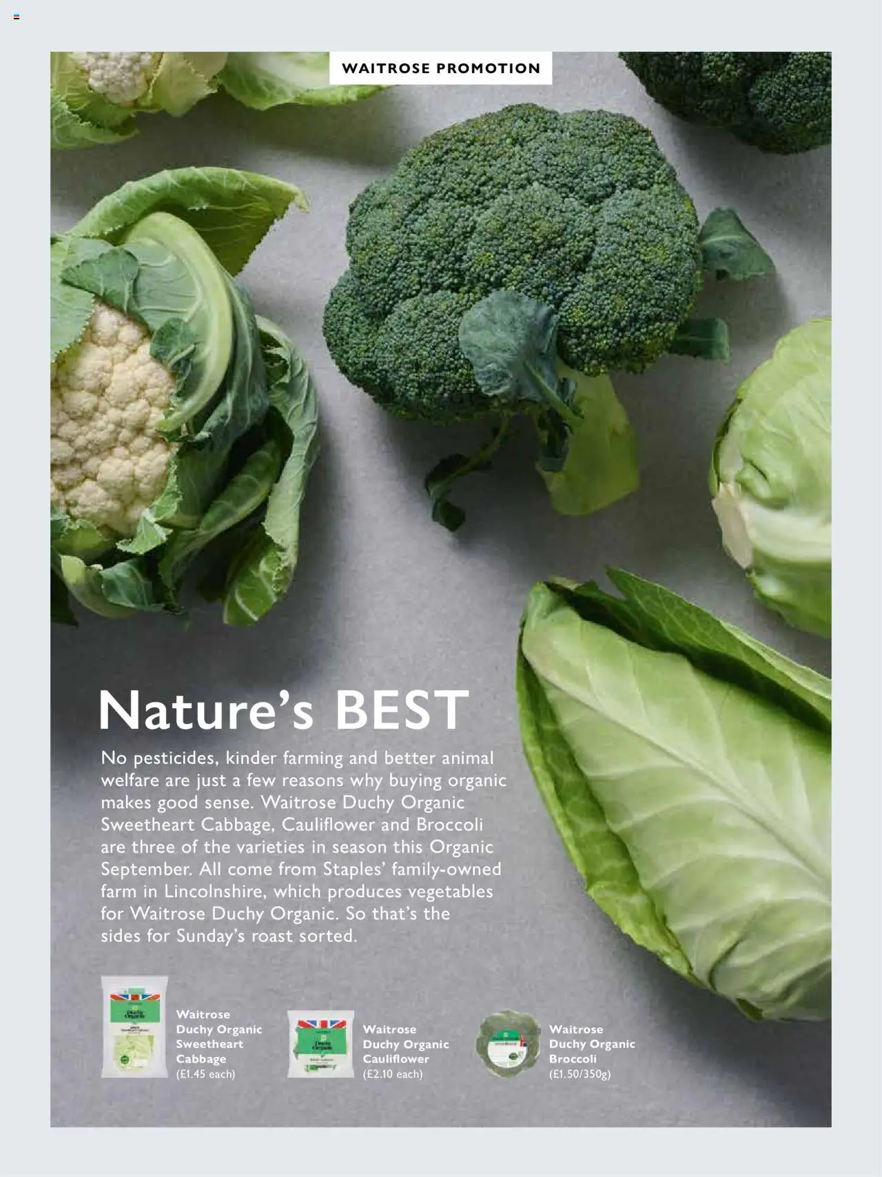  | Page: 44 | Products: Broccoli, Sertésköröm
