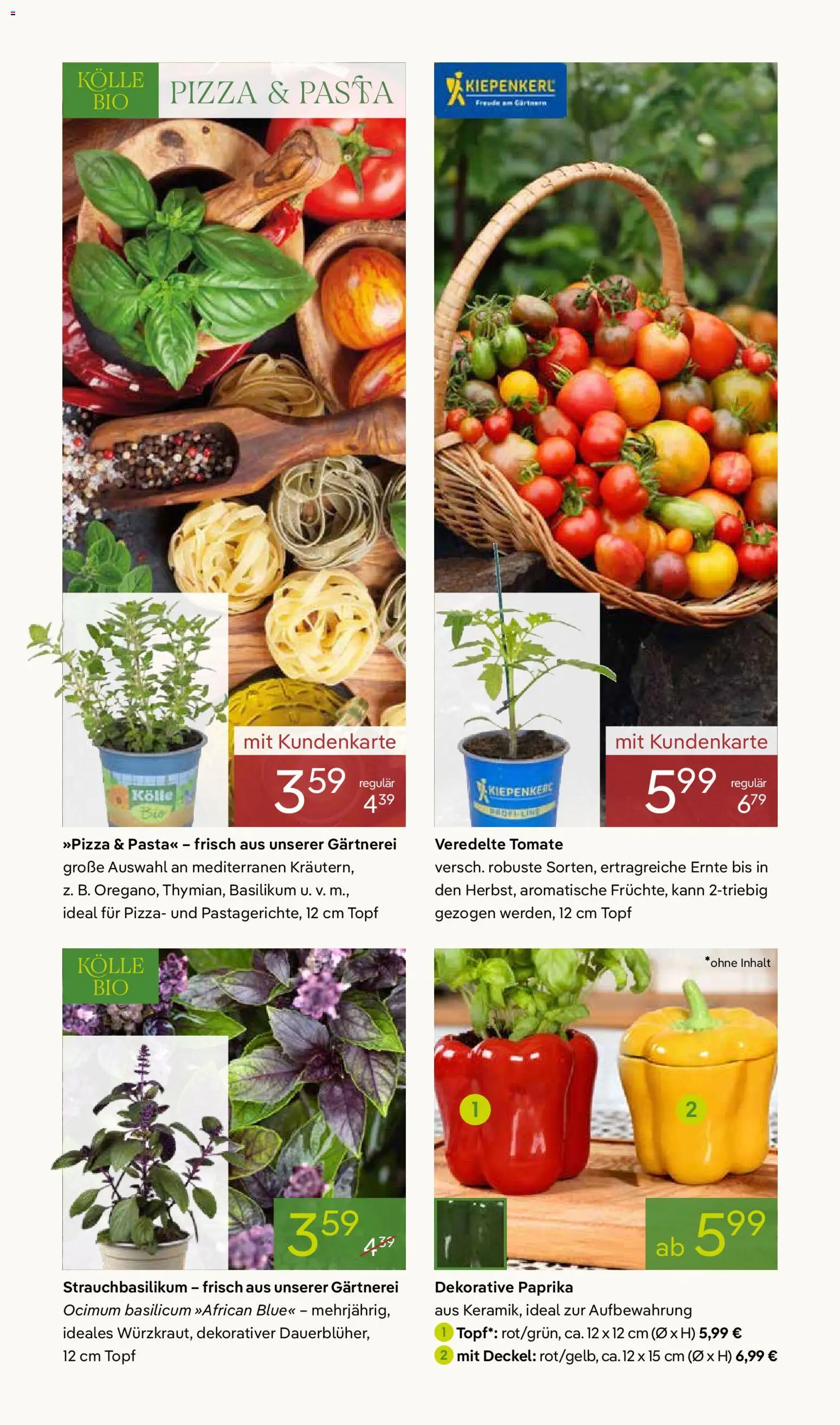 Pflanzen-Kölle Prospekt 	 – gültig ab 13.04.2026 | Seite: 6 | Produkte: Paprika, Pasta, Pizza