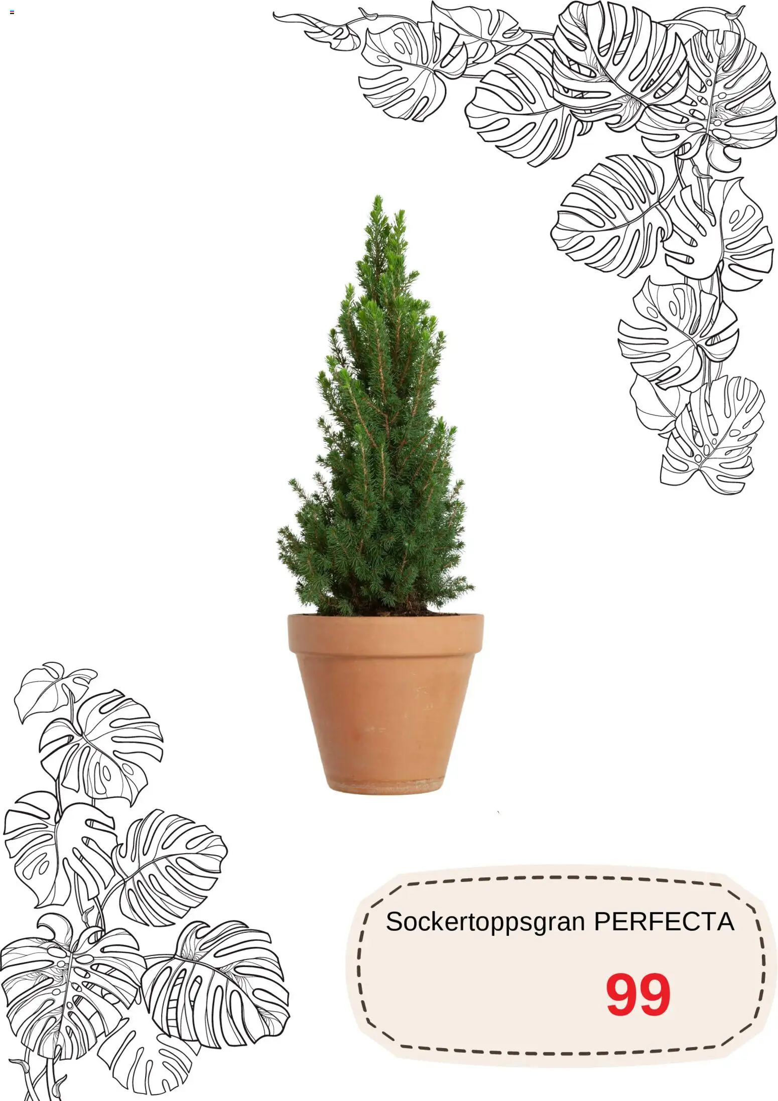 Blomsterlandet reklamblad aktuell från 01.12.2025 | Sida: 9