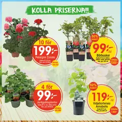 EKO erbjudanden - Förhandsvisning av reklamblad från butik EKO aktuell från 20.04.2026