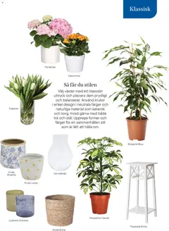 Plantagen - erbjudanden - Förhandsvisning av reklamblad från butik Plantagen aktuell från 13.01.2026 | Sida: 25 | Produkter: Piedestal, Kruka, Vas