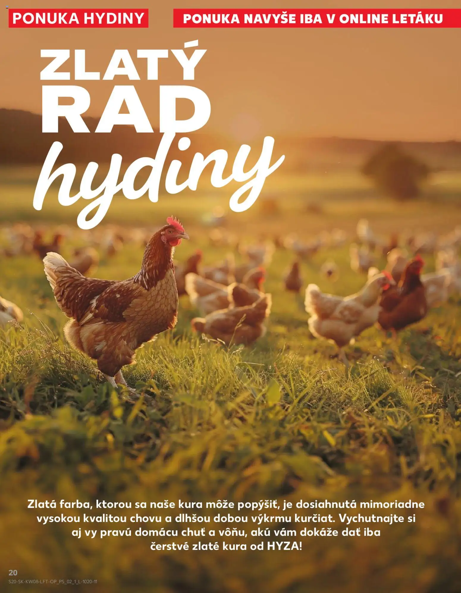 Nové Kaufland akcie – leták je platný od 19.02.2026 | Strana: 20 | Produkty: Aku