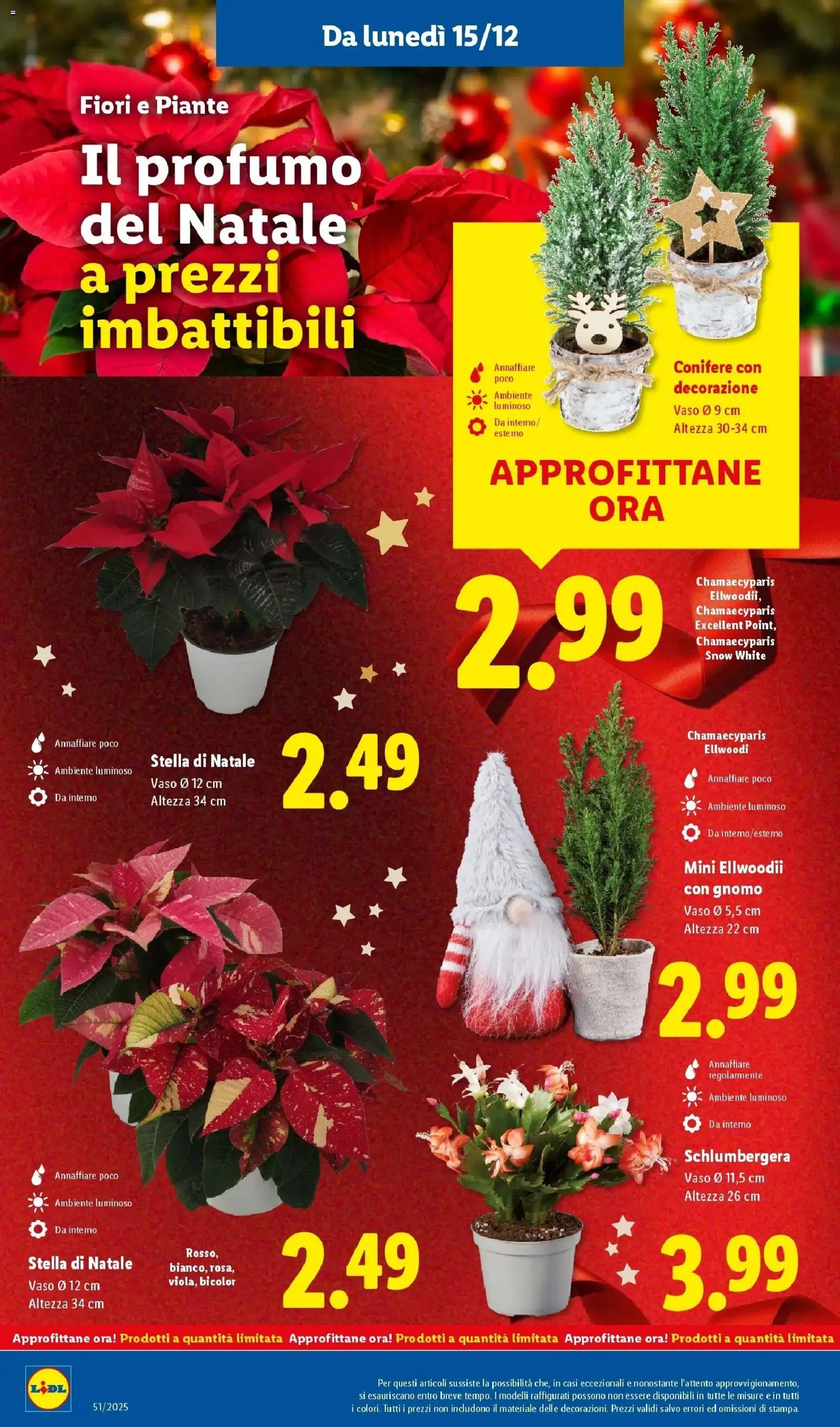 Volantino Lidl del 14.12.2025 | Pagina: 30 | Prodotti: Vaso, Profumo