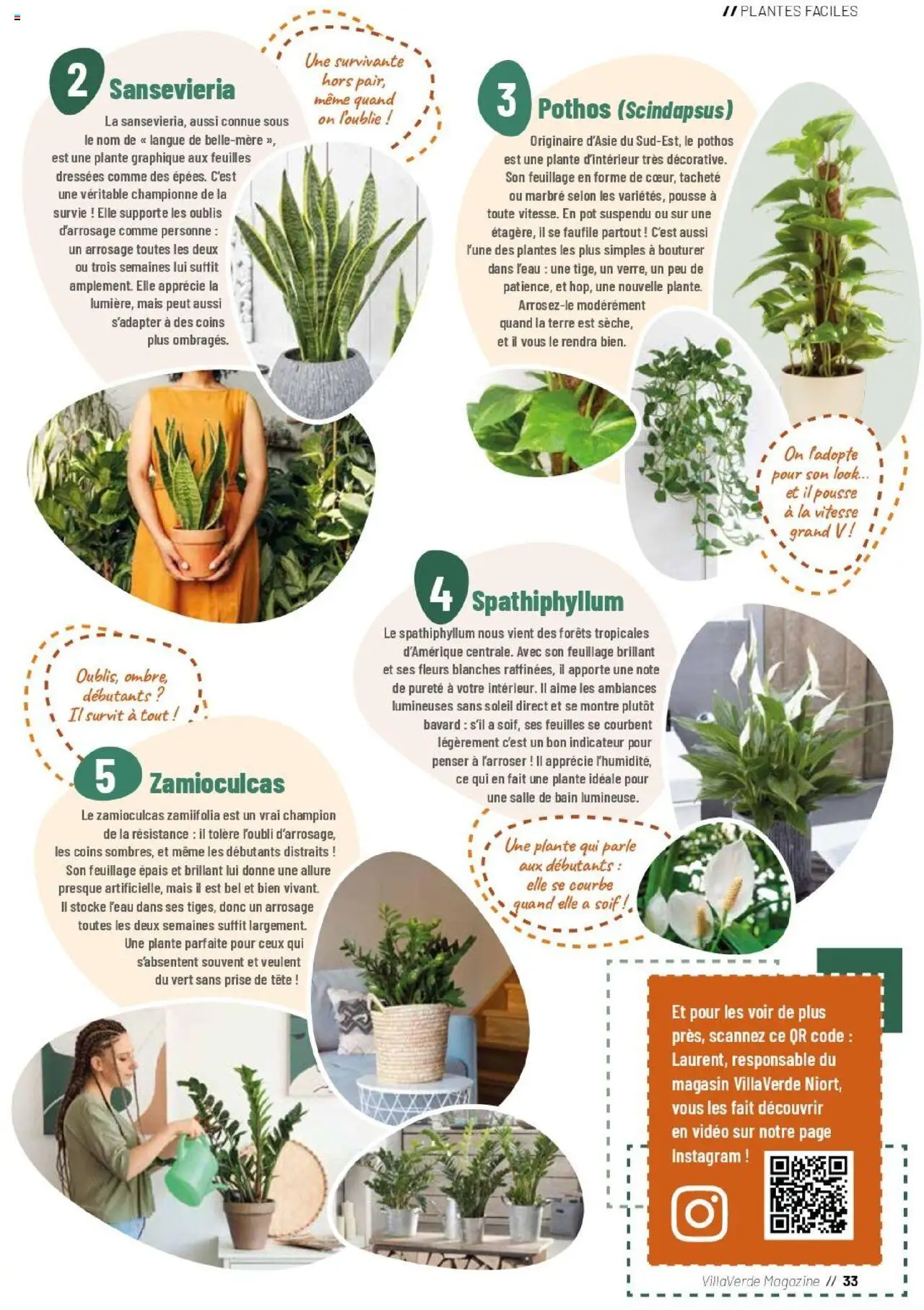 {H1} | Page: 33 | Produits: Montre, Plantes, Mais, Magazine