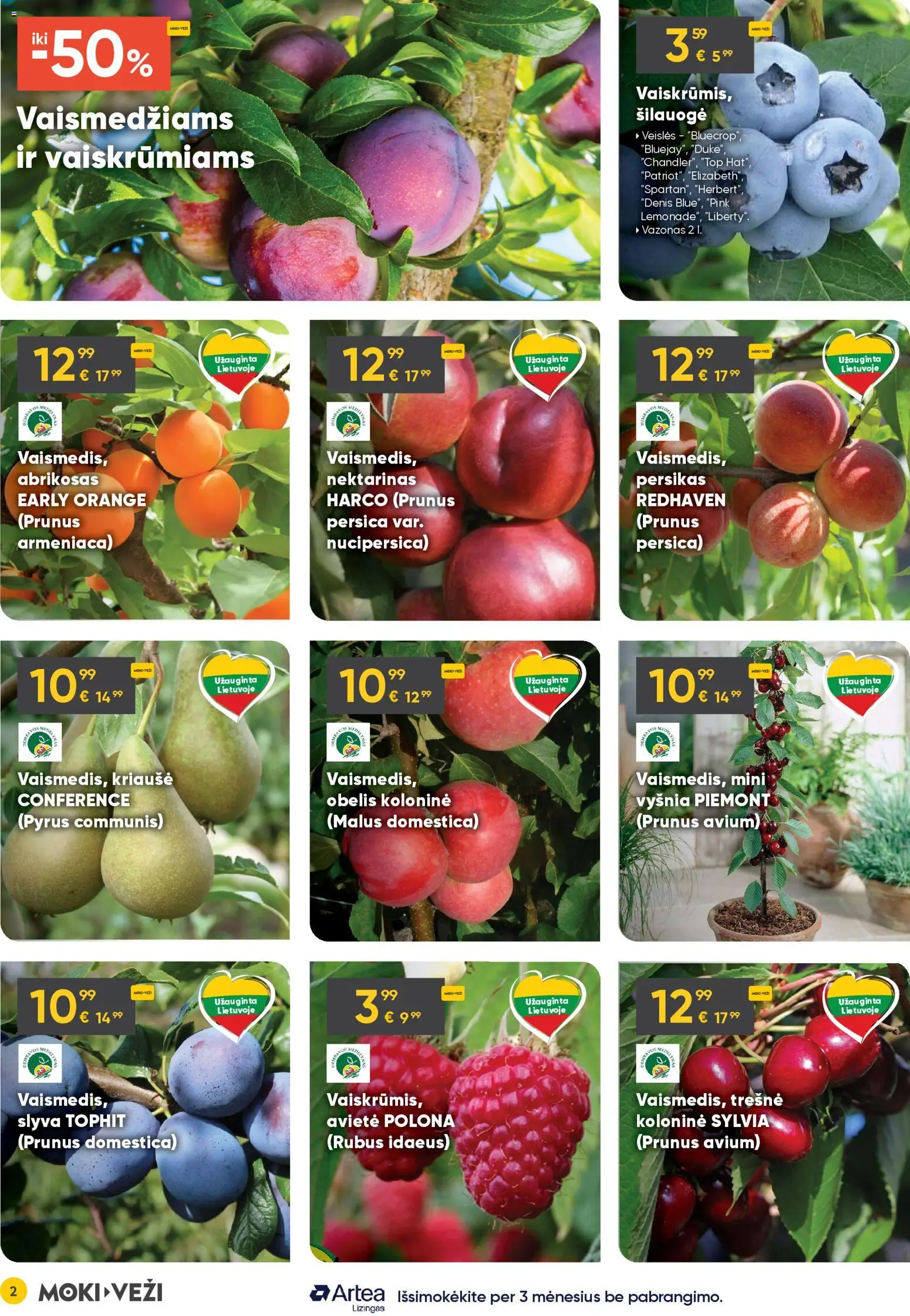 MOKI VEŽI akcijos nuo 02.04.2026 | Puslapis: 2 | Prekių: Vazonas