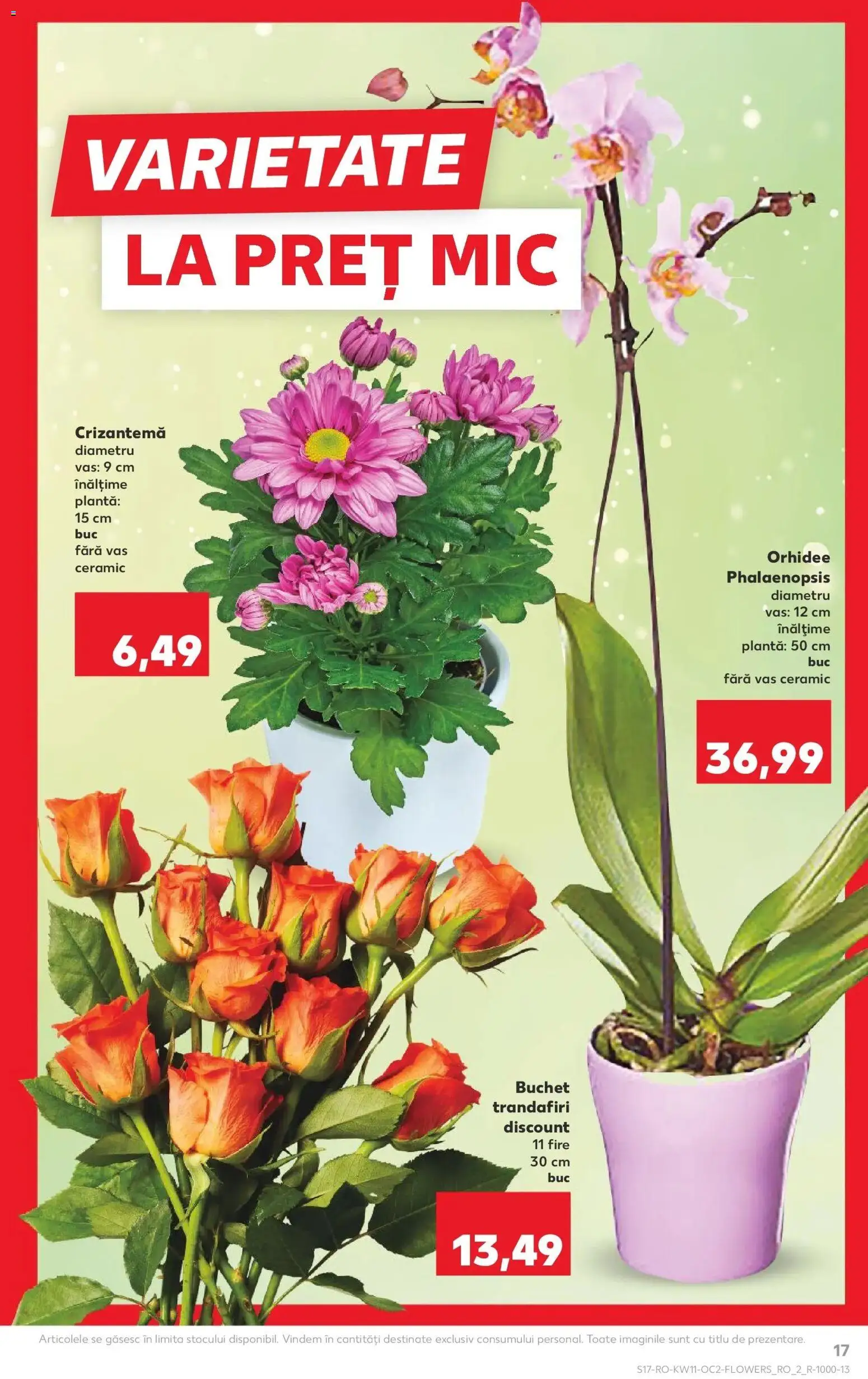 Noul catalog Kaufland – valabil de la 11.03.2026 | Pagină: 17 | Produse: Orhidee