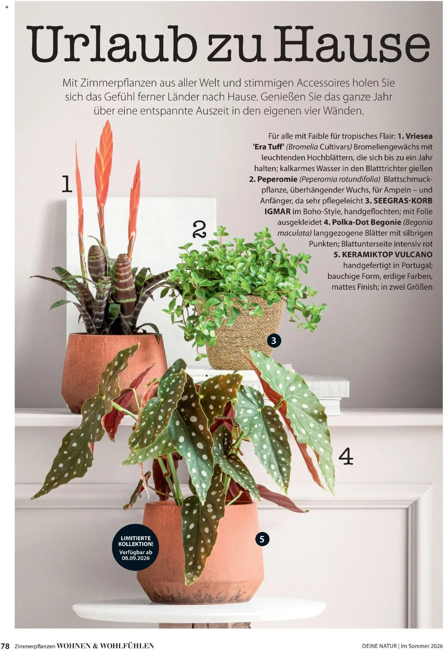 Dehner Prospekt 	 – gültig ab 17.04.2026 | Seite: 78 | Produkte: Wasser