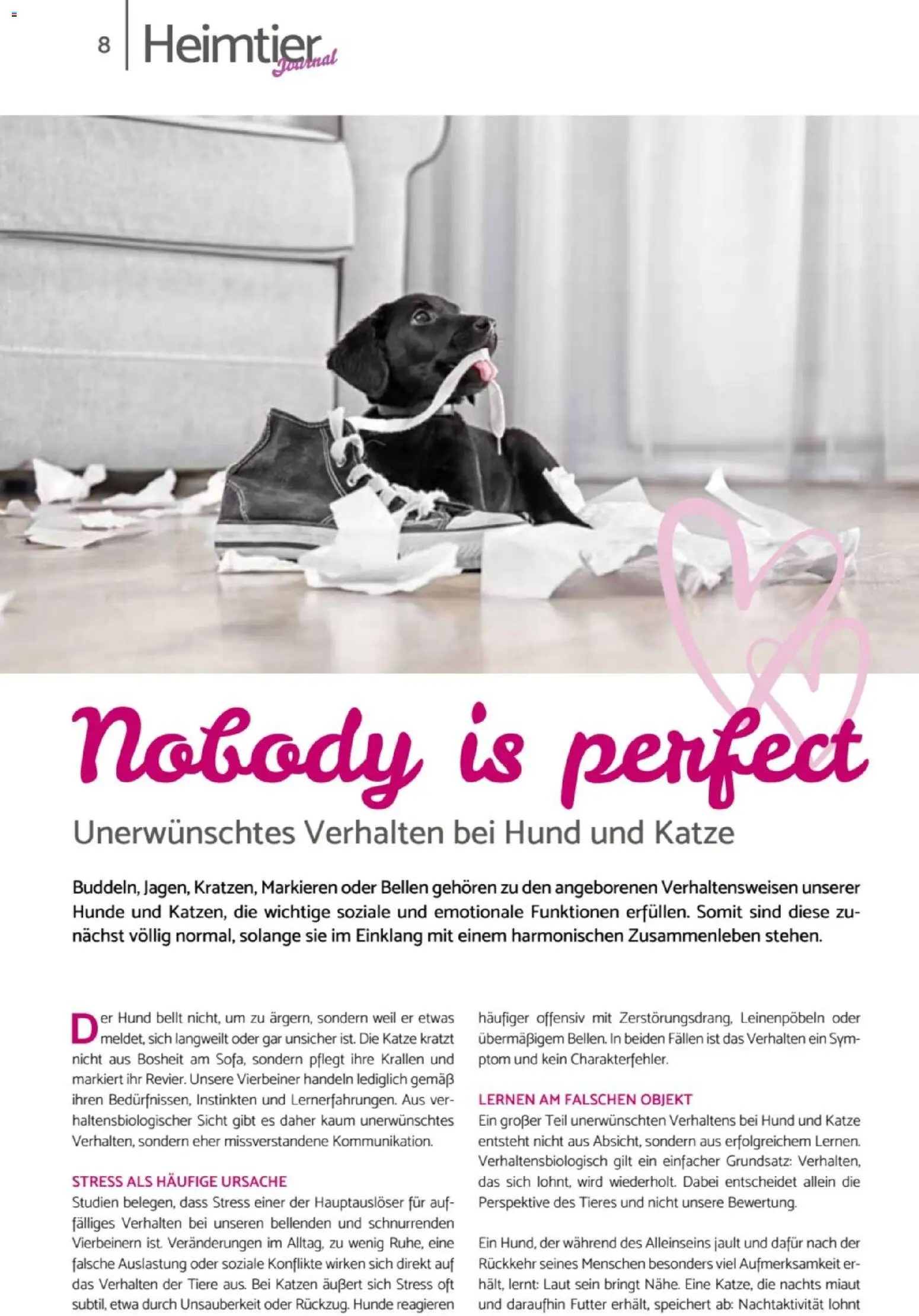 zookauf Heimtier Journal – gültig ab 01.04.2026 | Seite: 8