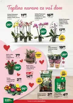 Kalia katalog akcije – veljaven od 09.02.2026 | Stran: 8