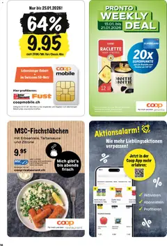 Gurke 1 Stk., Gurke ab 15.01.2026 gültig | Seite: 18