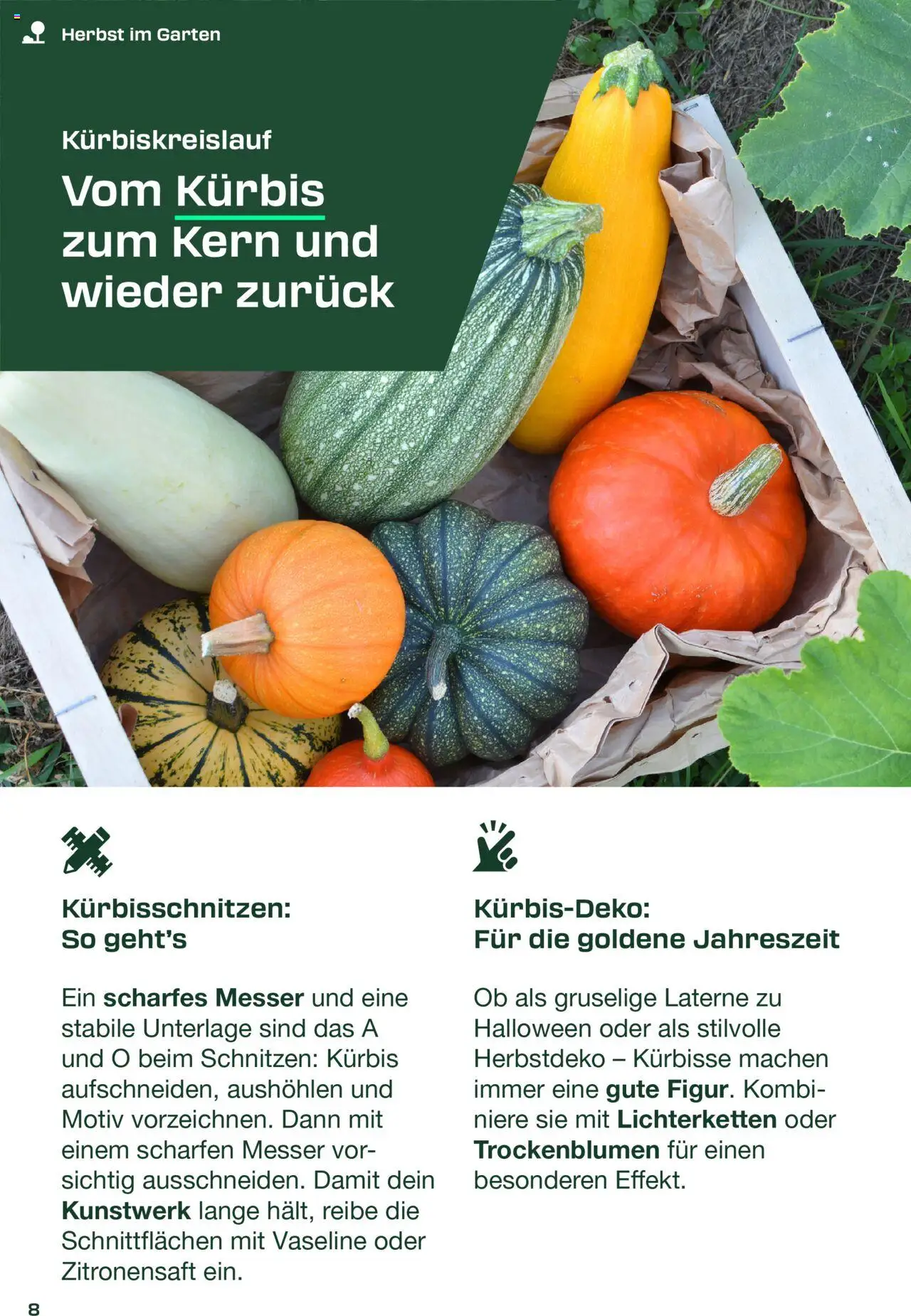 Kaufland Parkside Herbst Magazin – gültig ab 01.09.2025 | Seite: 8