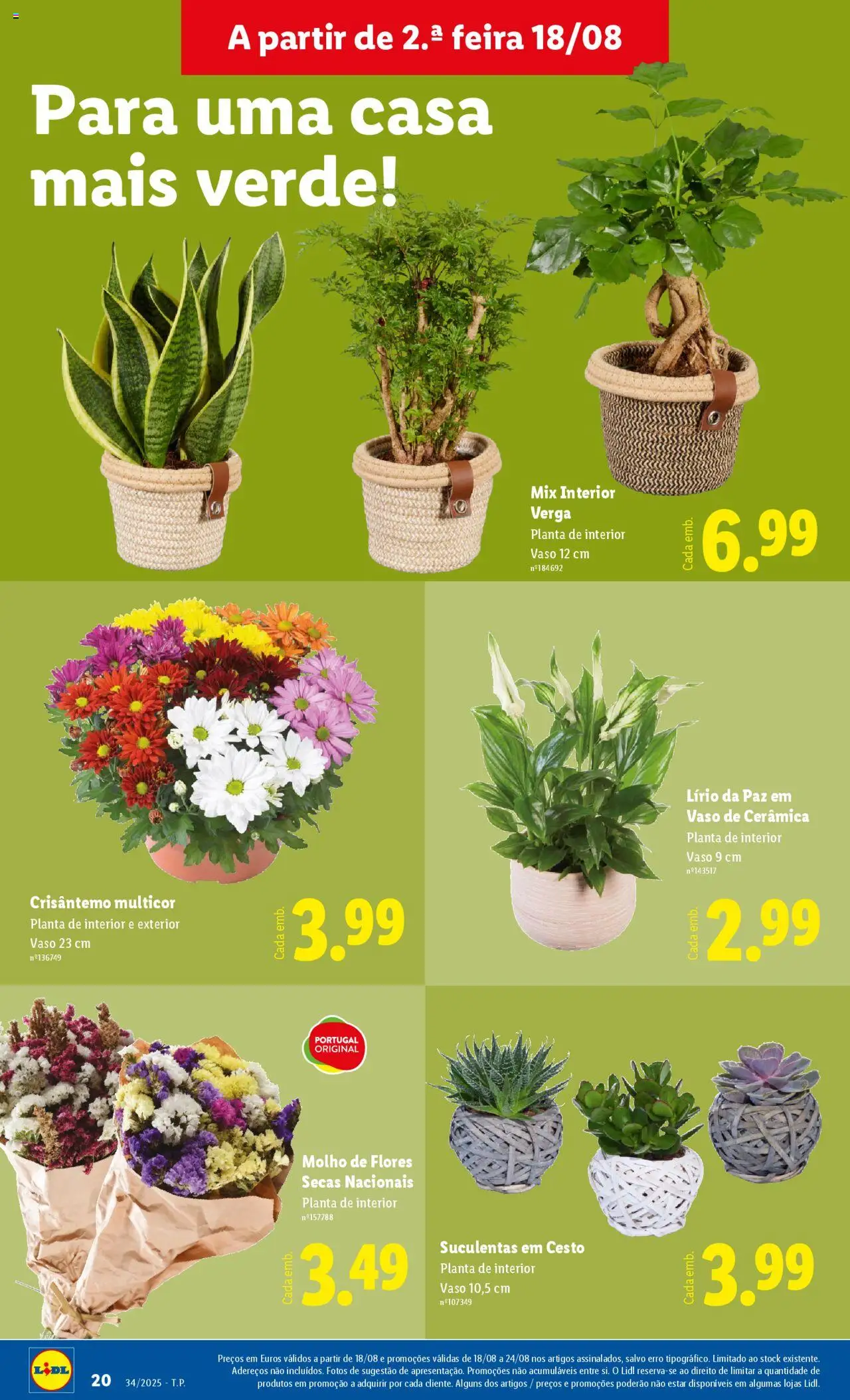 Lidl Novidades │ válido de 18.08.2025 | Página: 20 | Produtos: Flores, Vaso