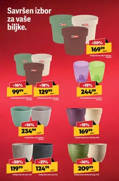 Saksija ljubičasta, zelena Coubi, 13x16cm, Purple and green flower pot Coubi, size 13x16cm - pregled Mega Maxi kataloga - važi od 26.02.2026 | Strana: 12 | Proizvode: Saksija