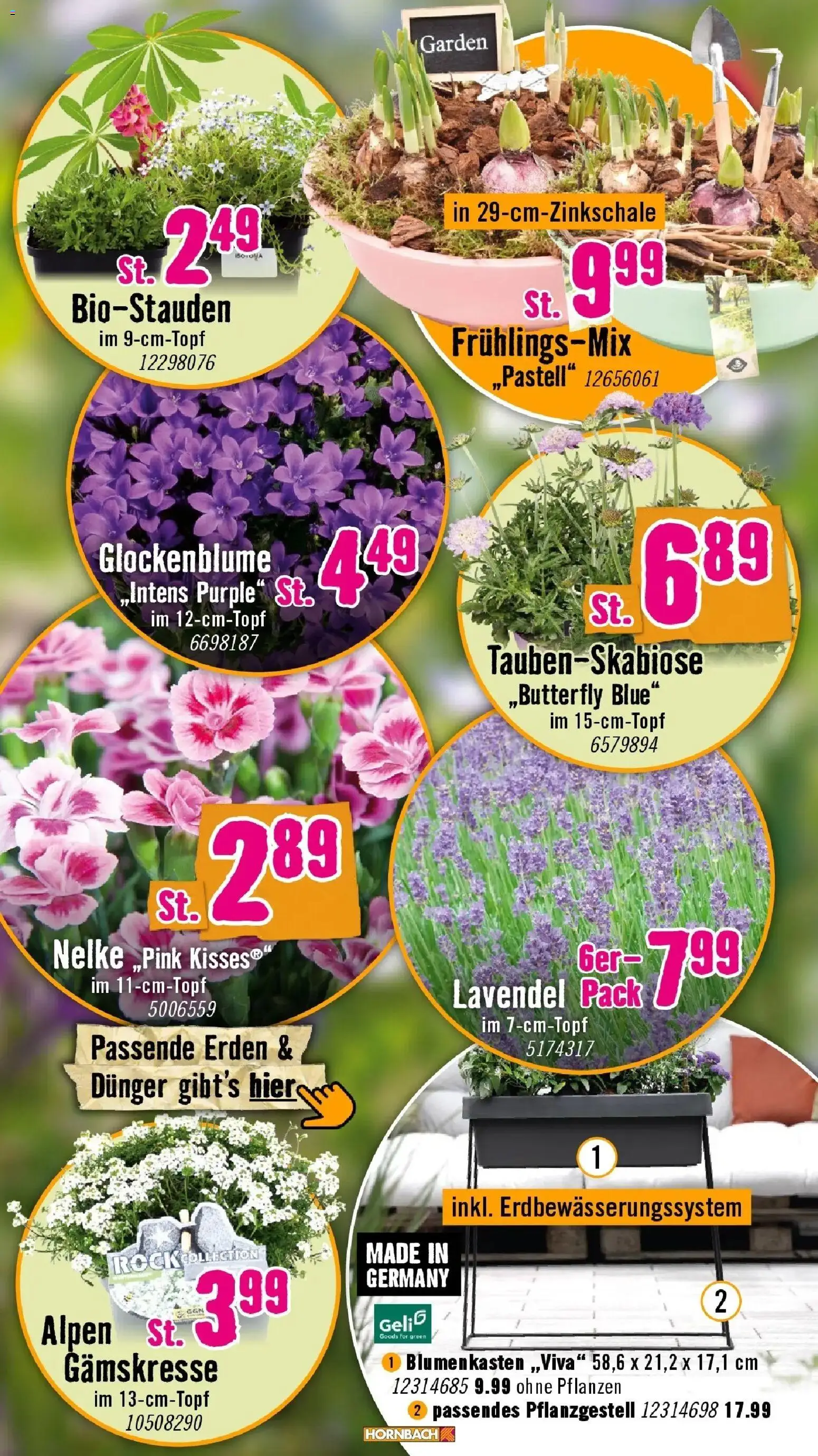 Hornbach Ran ans Projekt. Es ist schon Pflanzzeit. – gültig ab 10.03.2026 | Seite: 3 | Produkte: Rock, Lavendel