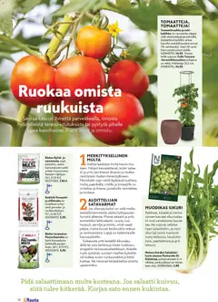 K-Rauta-mainoslehti voimassa 01.04.2026 alkaen | Sivu: 38 | Tuotteet: Multa, Persilja, Salaatti