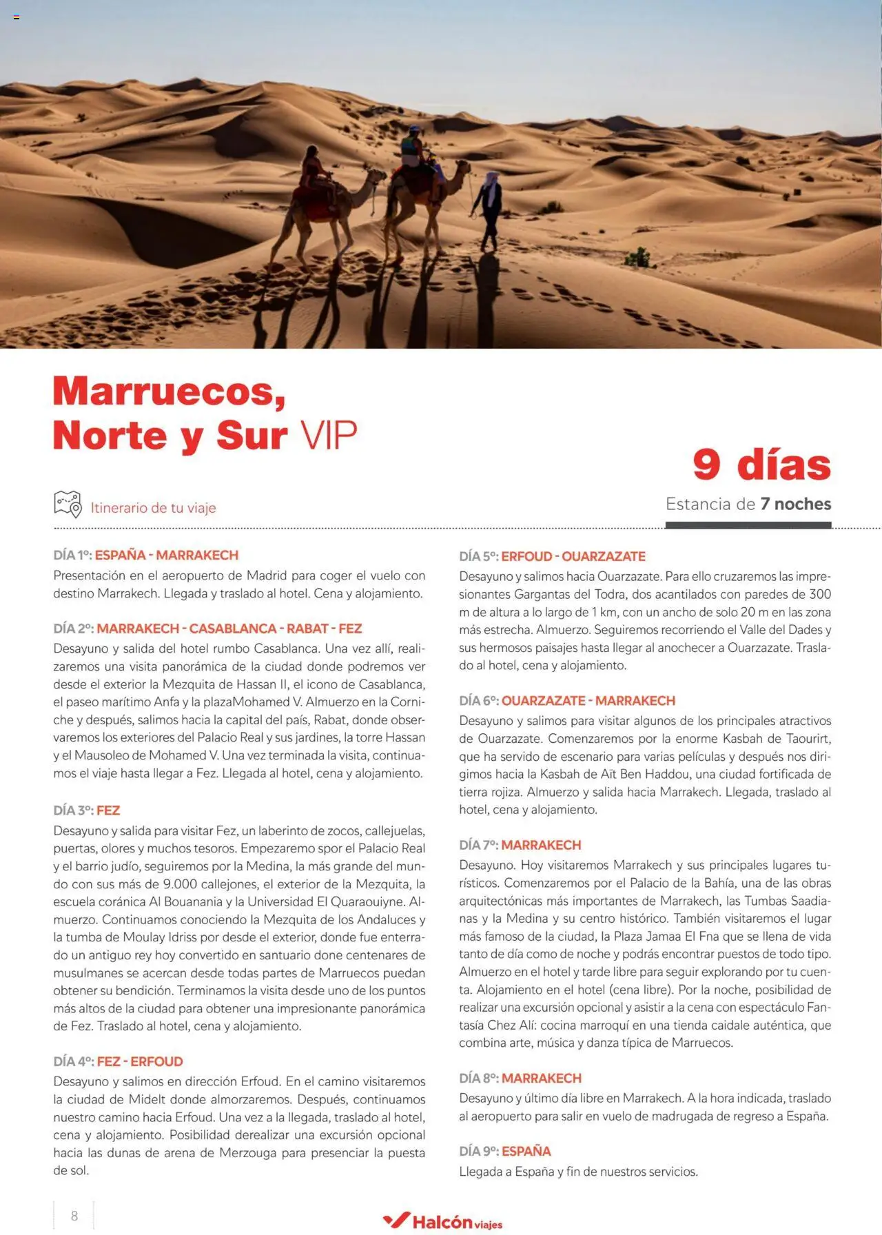 Halcón Viajes Marruecos  │ válido desde el 10.05.2024 | Página: 8 | Productos: Cocina