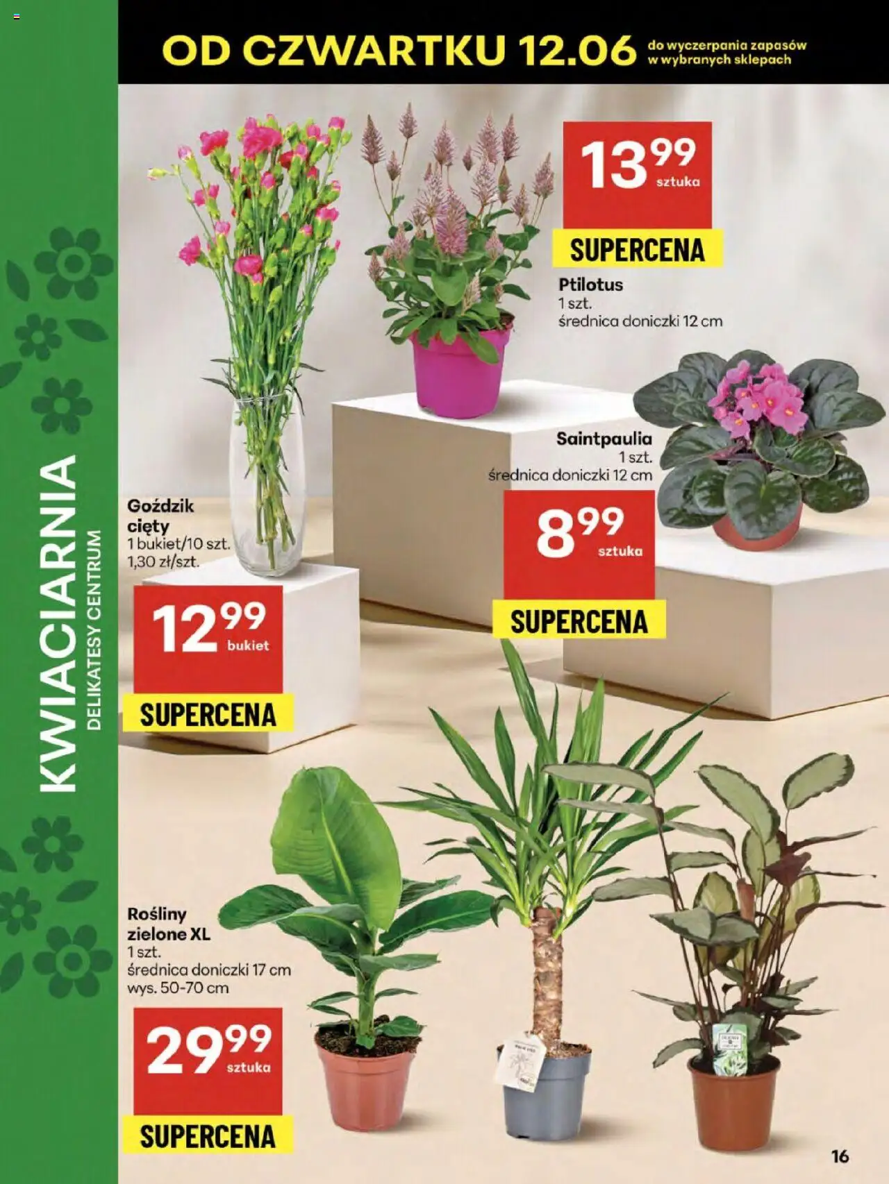 Delikatesy Centrum Gazetka - Sklepy Własne od 12.06.2025 | Strona: 16 | Produkty: Goździk, Delikatesy, Rosliny, Doniczki