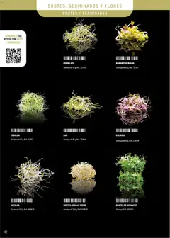 Vista previa Makro - Especial Frutas y Verduras Península válido desde el 05.01.2026 | Página: 42 | Productos: Σφουγγαρίστρα, Παγωμένο τσάι, Bandeja