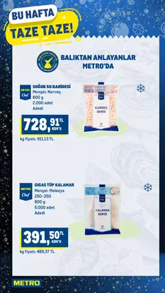24.12.2025 tarihinden itibaren geçerli olan Metro kataloğu önizlemesi | Sayfa: 10