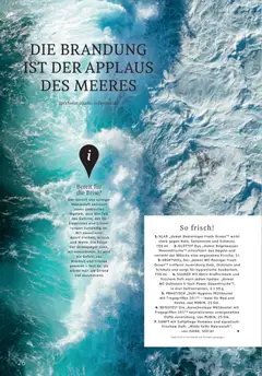 „Milde Seife Meeresluft“, SANFT mit Softpflege-Komplex und aquatisch-frischem Duft: , 500 ml ab 01.01.2026 gültig | Seite: 26